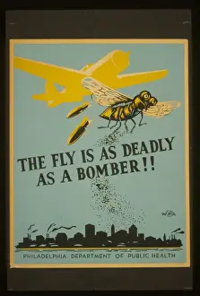 The fly is as deadly as a bomber