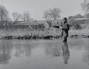 Fly Fisherman