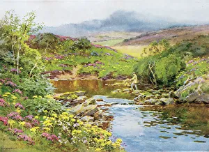 Fly fishing in Glen Lussa