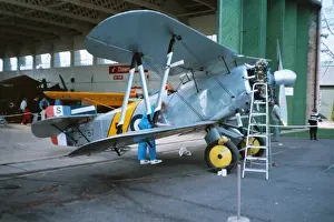 Flycatcher Prints: Flycatcher at Duxford