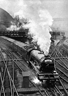 Images Dated 4th April 2004: The Flying Scotsman, pulling out of Kings Cross