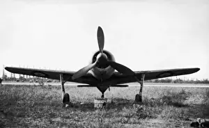 Focke Wulf FW-190