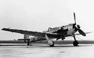 Focke Wulf FW-190