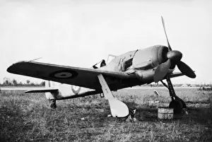 Focke Wulf FW-190