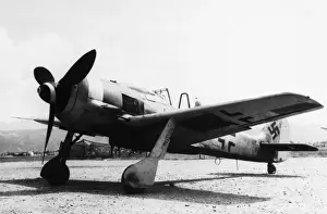 Focke Wulf FW-190