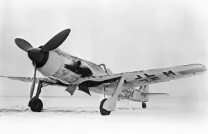 Focke Wulf FW-190