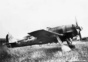 Focke Wulf FW-190