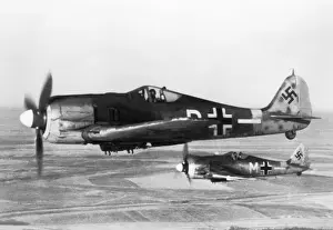 Shrike Prints: Focke Wulf FW-190A