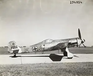 Focke Wulf FW-190D