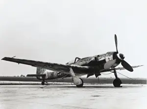 Focke Wulf FW-190D