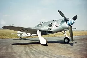 Focke Wulf FW 190D-9 -the last of this formidable fight