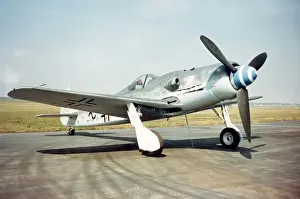 Focke Wulf FW 190D-9 -the last of this formidable fight