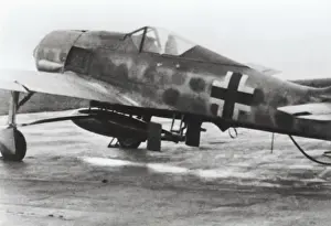 Warbird Prints: Focke Wulf FW-190F-8