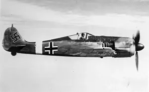 Wulf Prints: Focke-Wulf Fw190
