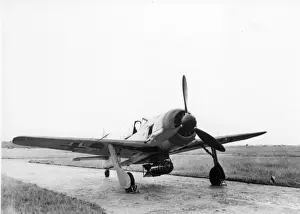 Wulf Prints: Focke-Wulf Fw190A-5