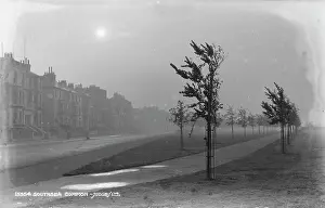 Foggy Morning at Southsea Common