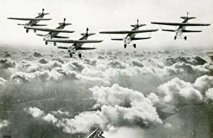 Fokker CV-Ds of the Dutch Army Aviation Group