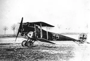 Biplanes Prints: Fokker D II biplane at Adlerhof trials