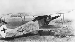 Fokker D-VII / 7