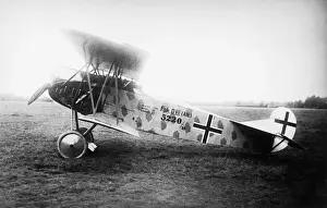 Fokker D-VII / 7