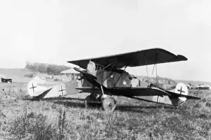 Fokker D-VII / 7