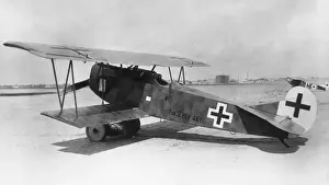Fokker D-VII / 7