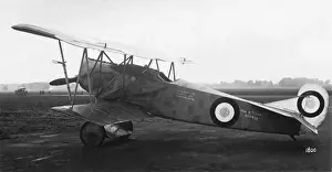 Fokker D-VII / 7