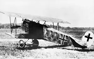 Fokker D-VII / 7