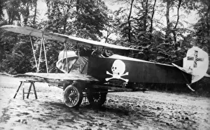 Fokker D-VII / 7