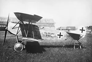 Fokker D-VII / 7