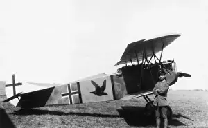 Fokker D-VII / 7
