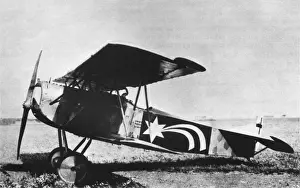 Fokker D-VII / 7