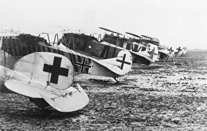 Fokker D-VII / 7
