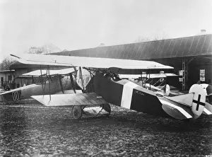Fokker D-VII / 7