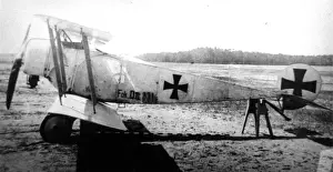 Fokker Prints: Fokker DII, (side view, on the ground, tail-up) on tres