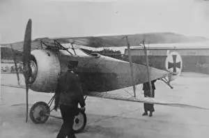 Fokker Prints: Fokker DV, (forward view, on the ground, tail-up)