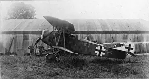 Dvii Prints: Fokker DVII in German markings