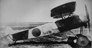 Fokker DVIII, (side view, on the ground)