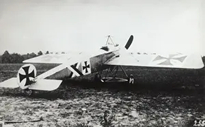 Dvii Prints: Fokker E-II / 2 Eindecker monoplane
