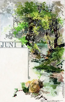 Juni Prints: Foliage, plants and flowers which appear in June (Juni). Date: 1903