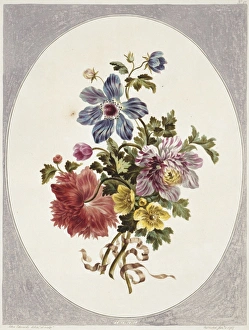 A Collection Of Flowers Gallery: Folio 17 from A Collection of Flowers by John Edwards