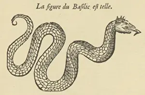 Serpents Prints: Folklore / Basilisk