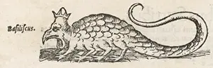 Folklore / Basilisk