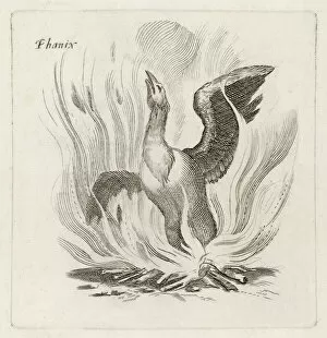 Flames Collection: Folklore / Birds / Phoenix