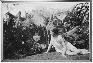 Folklore / Fairies