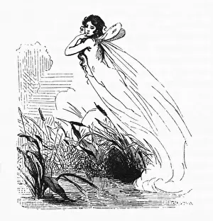 Folklore / Feu Follet