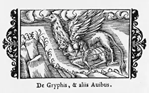 Folklore / Gryphon