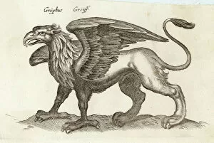 1650 Gallery: Folklore / Gryphon