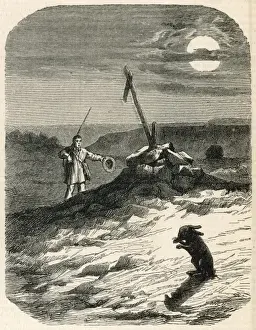 Folklore / Hare-Witch