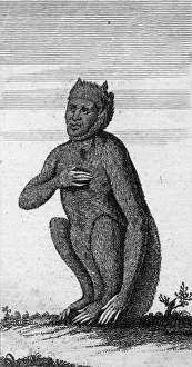 Images Dated 18th June 2018: FOLKLORE / MANTIGER